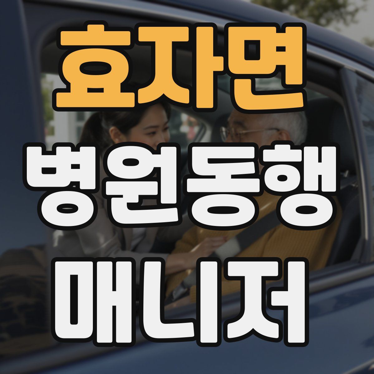 효자면 병원동행매니저 자격증