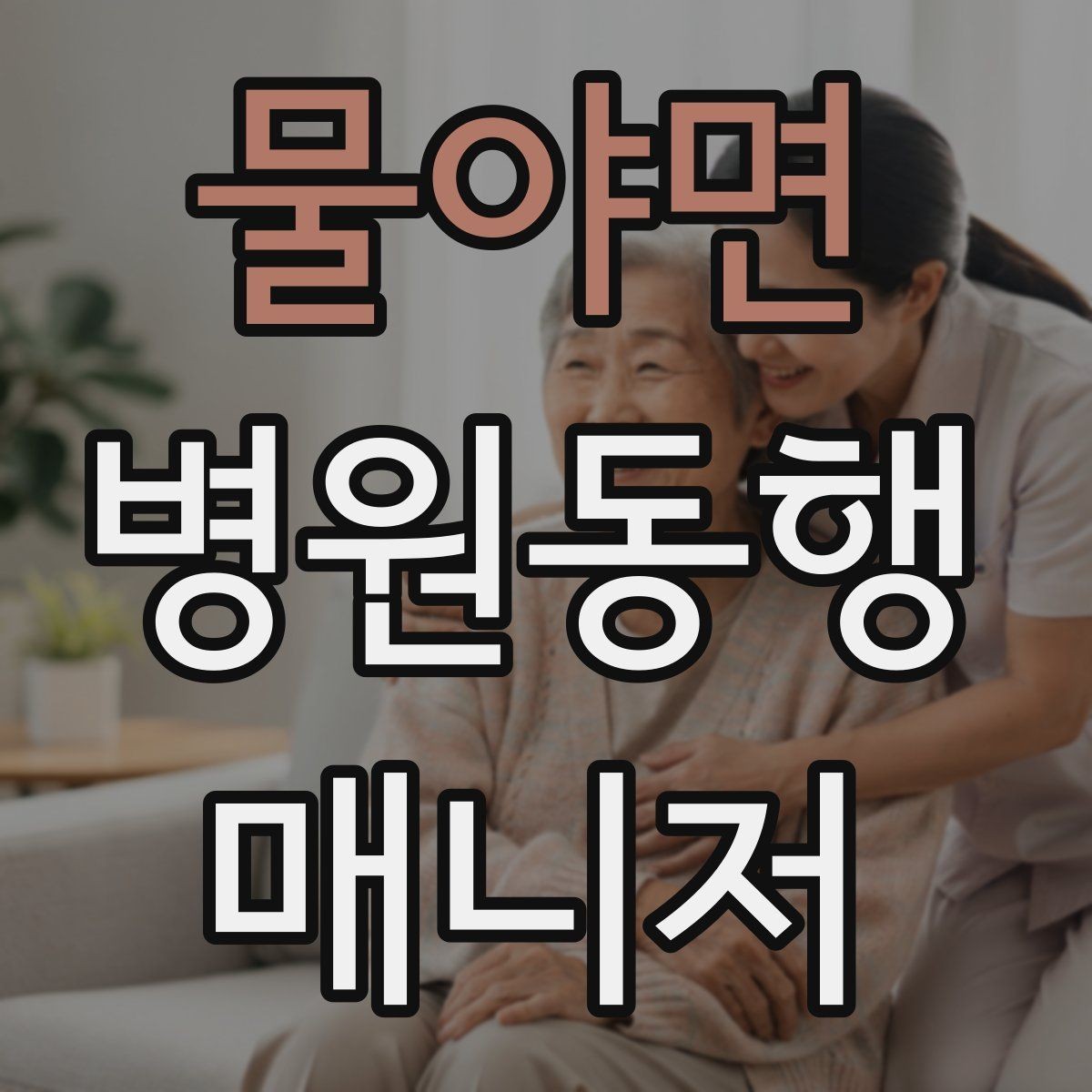 물야면 병원동행매니저 자격증 대중교통 동행 시 준비할 것
