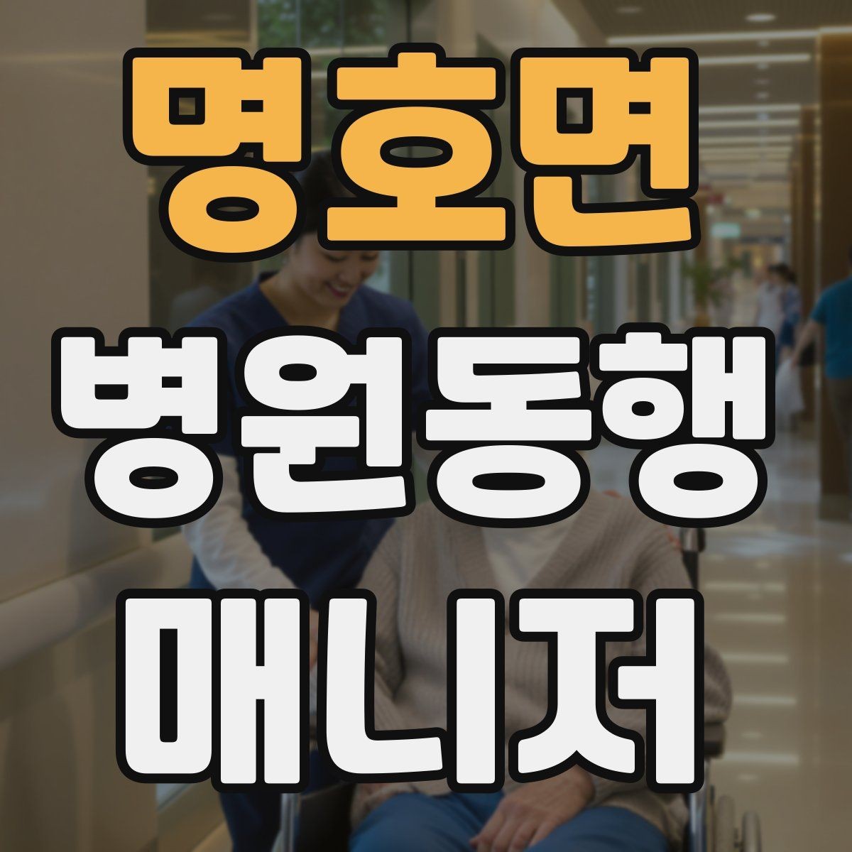 명호면 병원동행매니저 자격증 동행 후 요약 전달을 깔끔하게 하는 법