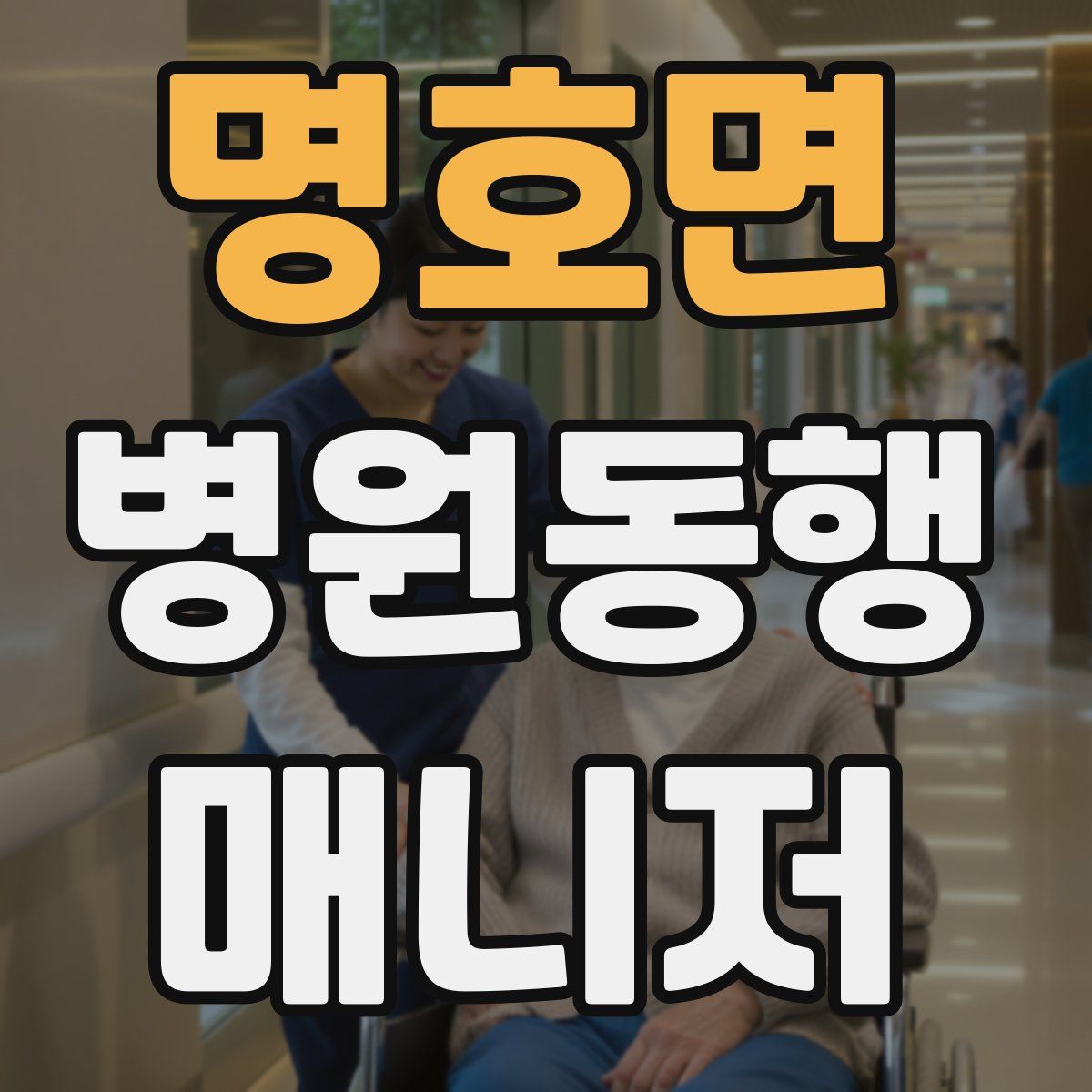 명호면 병원동행매니저 자격증