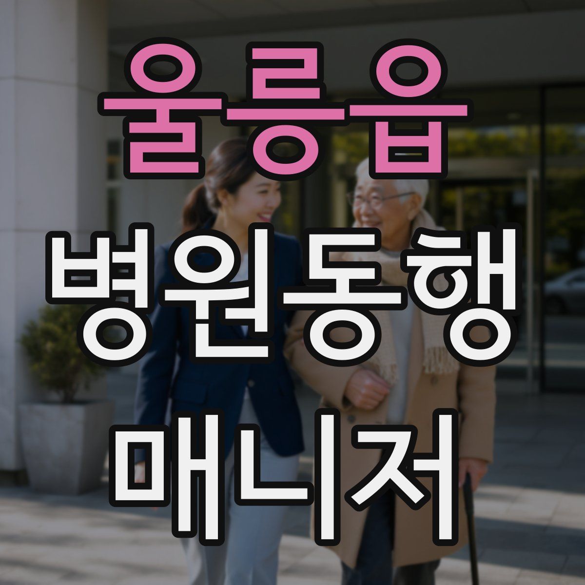 울릉읍 병원동행매니저 자격증