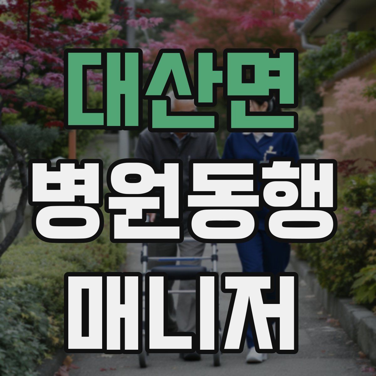 대산면 병원동행매니저 자격증