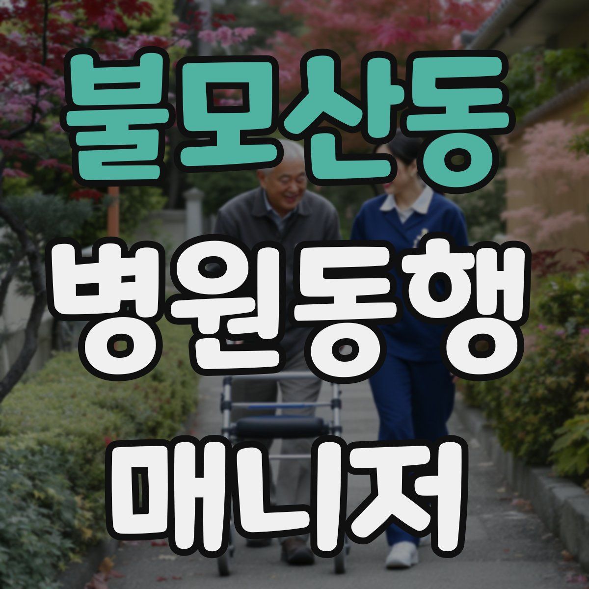 불모산동 병원동행매니저 자격증