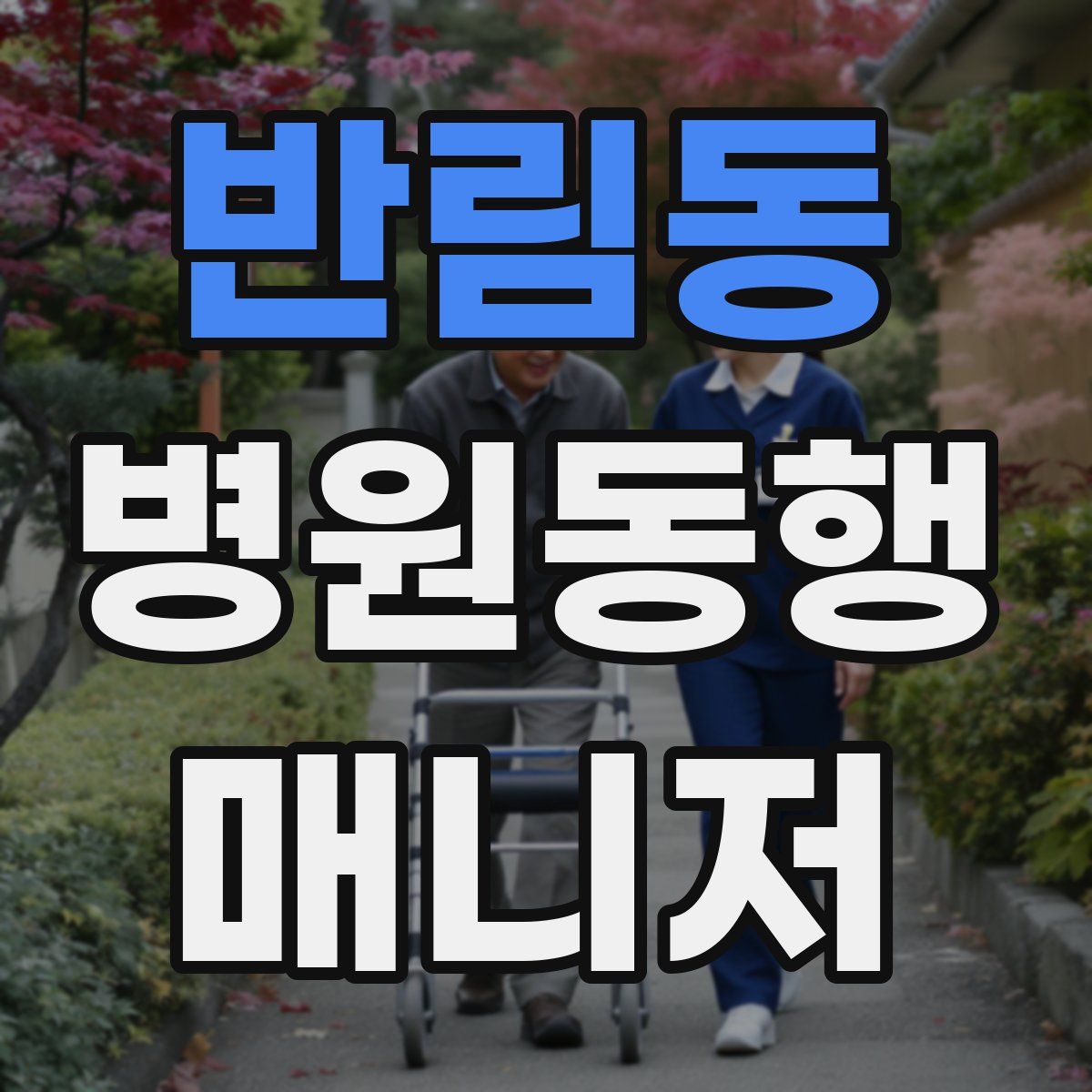 반림동 병원동행매니저 자격증