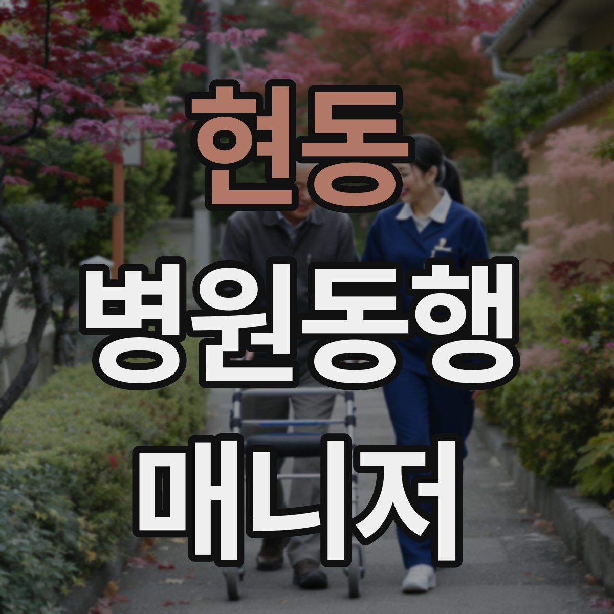 현동 병원동행매니저 자격증