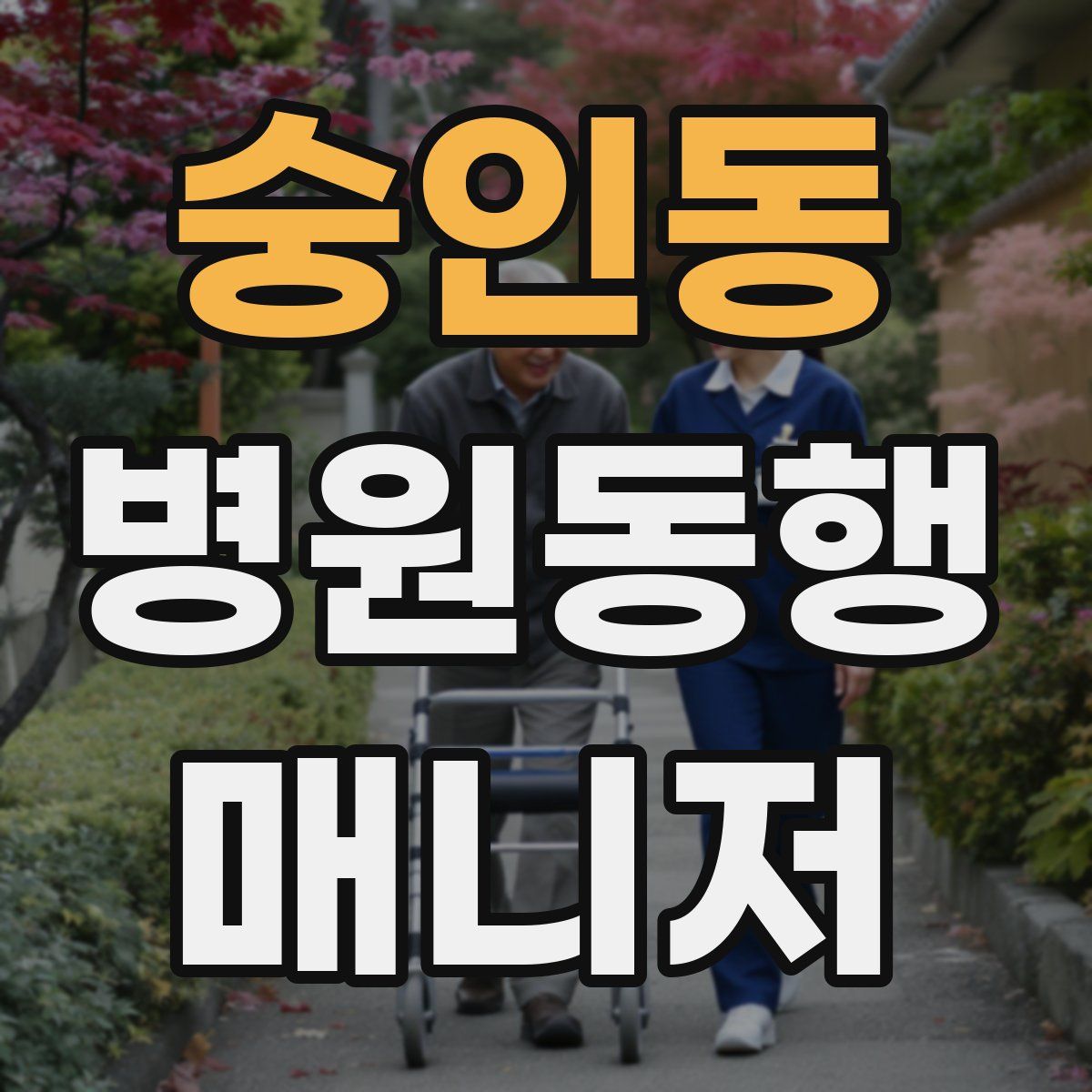 숭인동 병원동행매니저 자격증