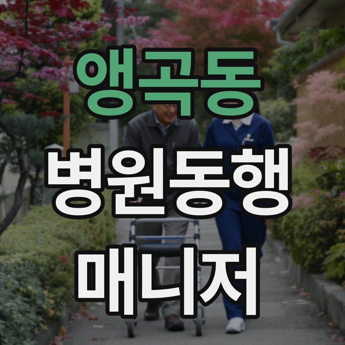 앵곡동 병원동행매니저 자격증