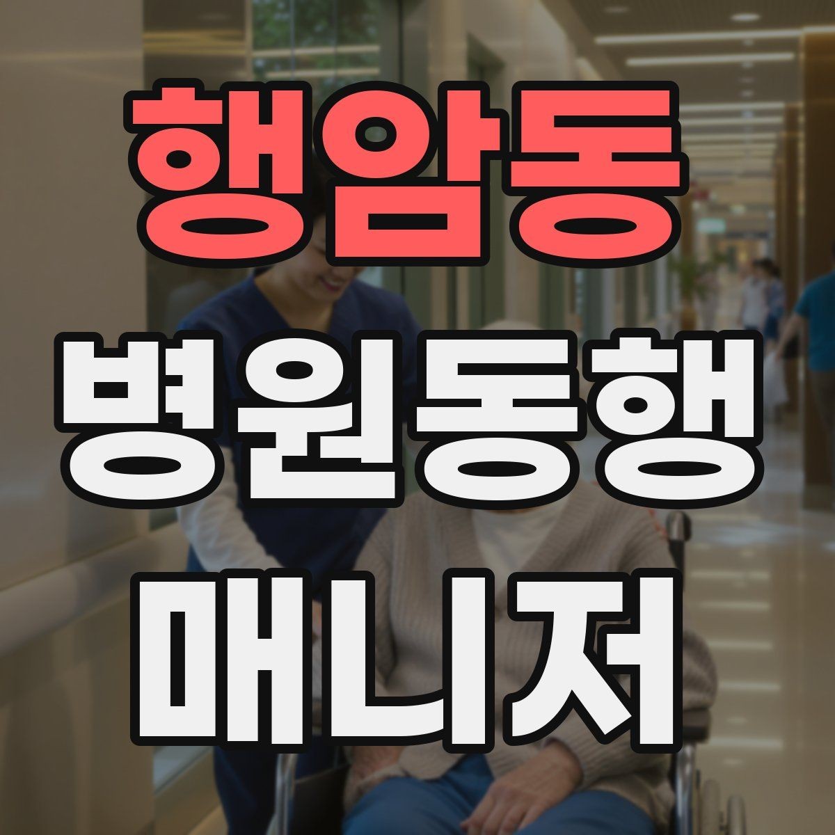 행암동 병원동행매니저 자격증 병원동행을 전문적으로 시작하는 방법