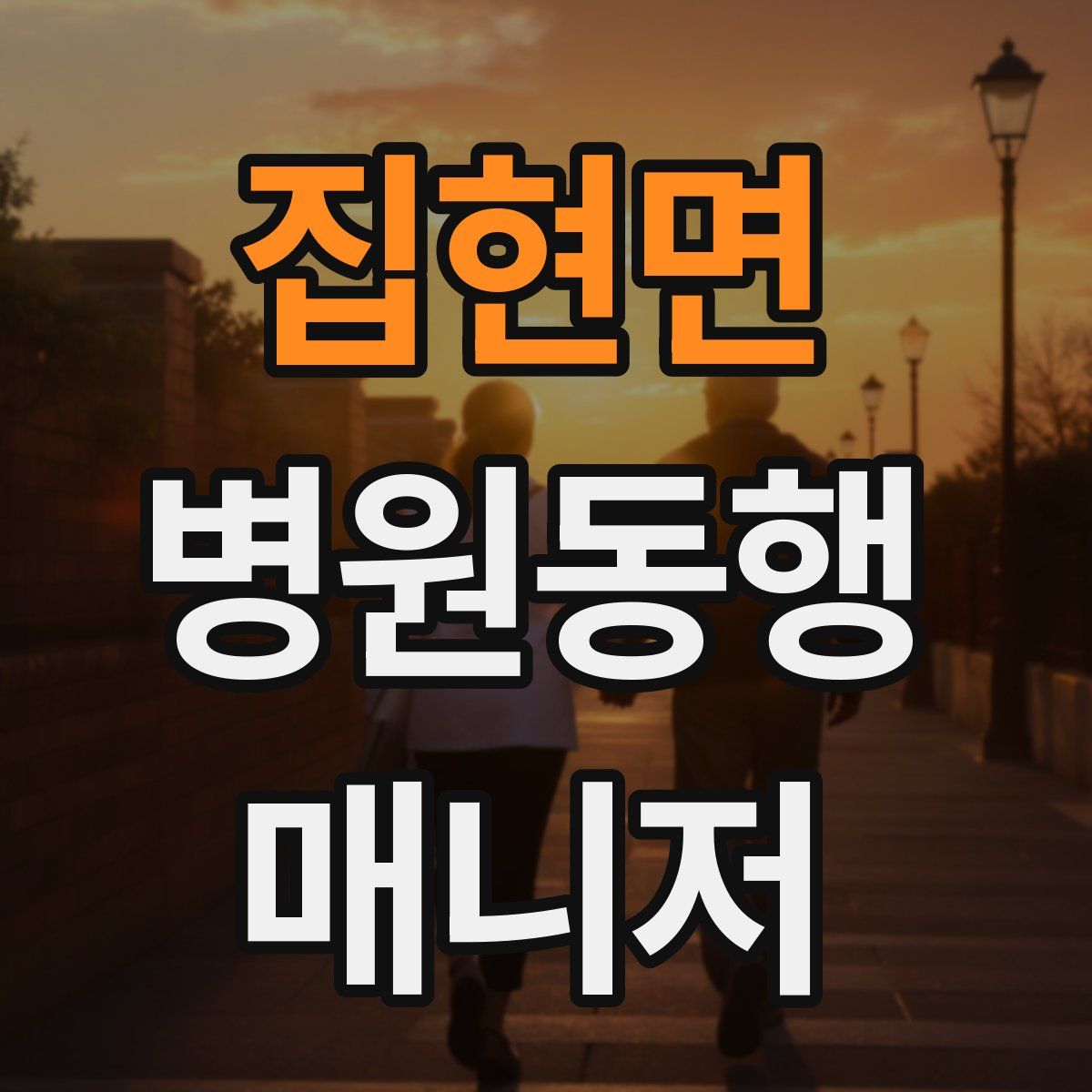 집현면 병원동행매니저 자격증