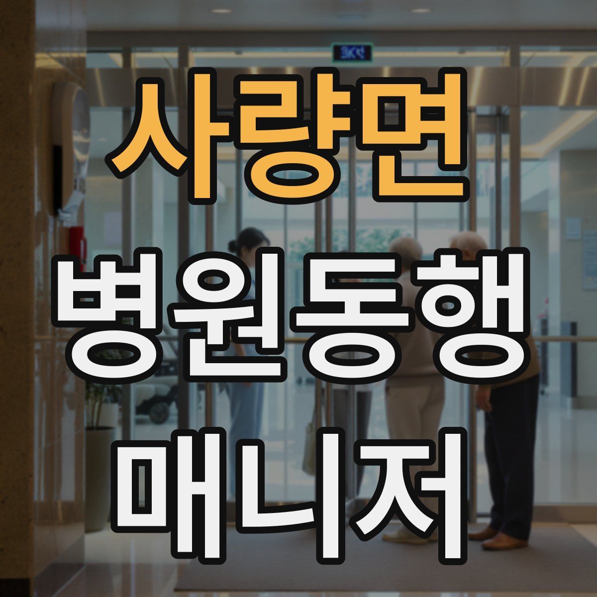 사량면 병원동행매니저 자격증