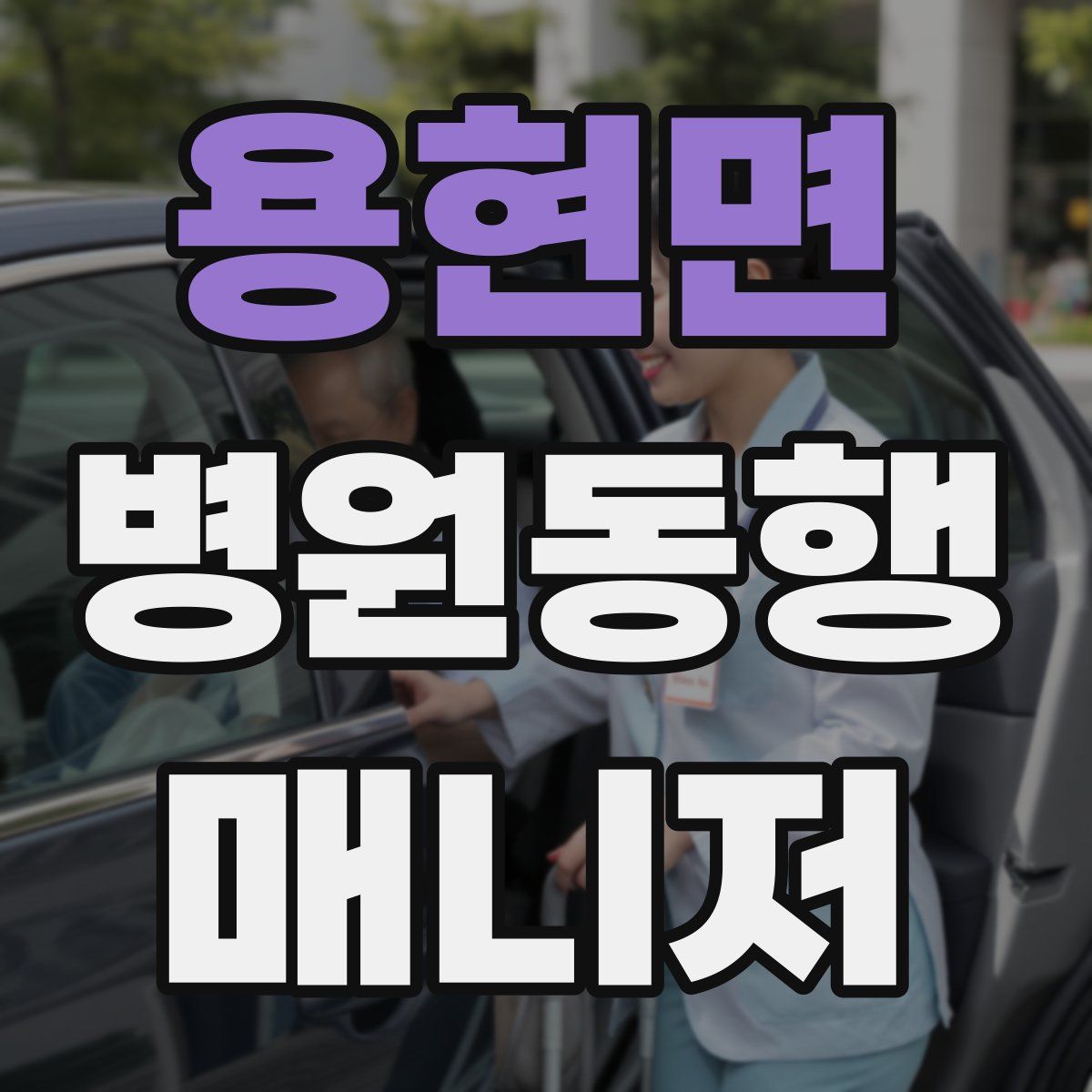 용현면 병원동행매니저 자격증