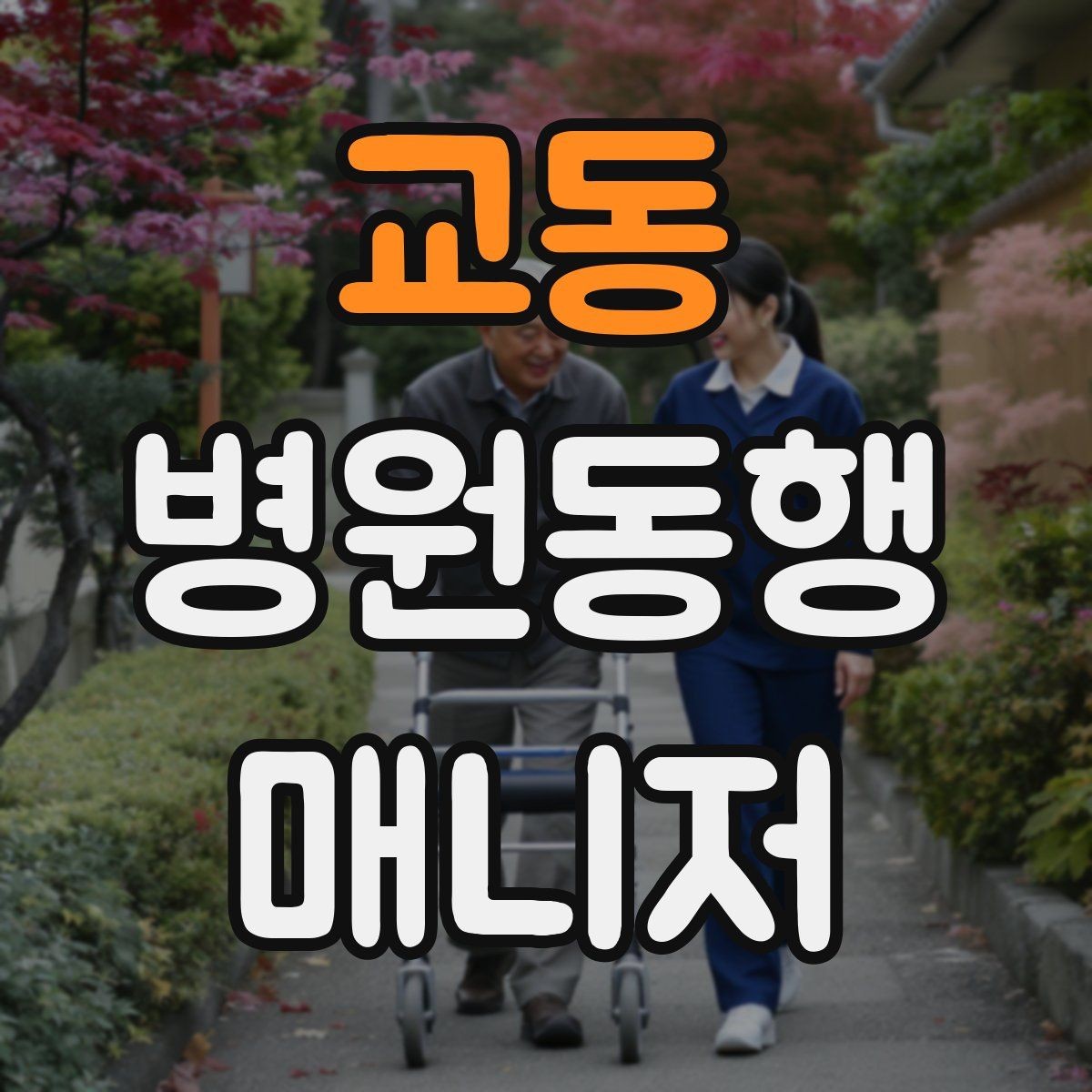 교동 병원동행매니저 자격증 자동문·회전문 통과 시 안전 요령
