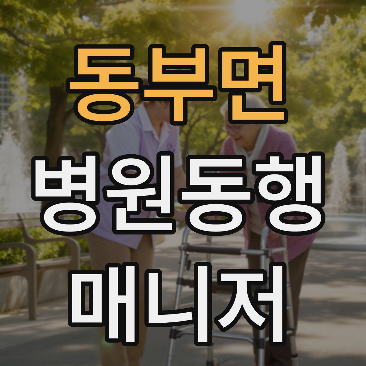 동부면 병원동행매니저 자격증