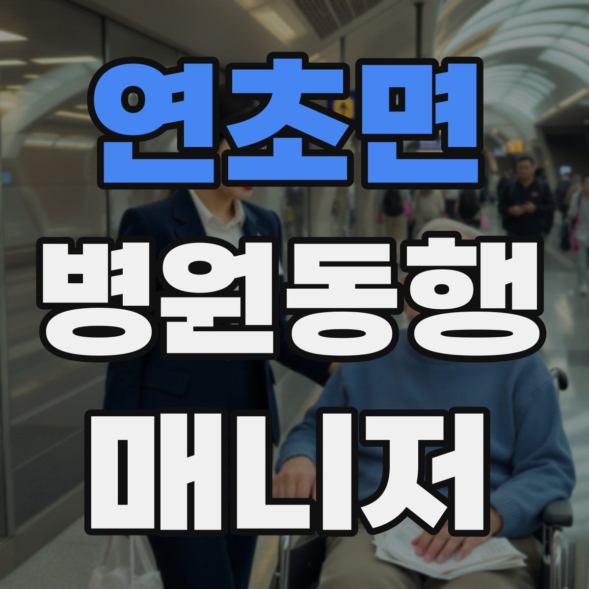 연초면 병원동행매니저 자격증