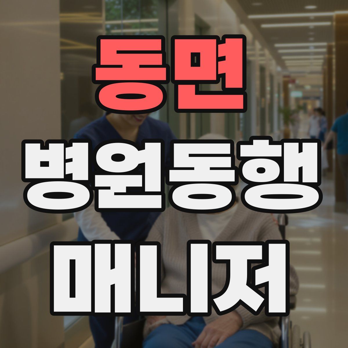 동면 병원동행매니저 자격증