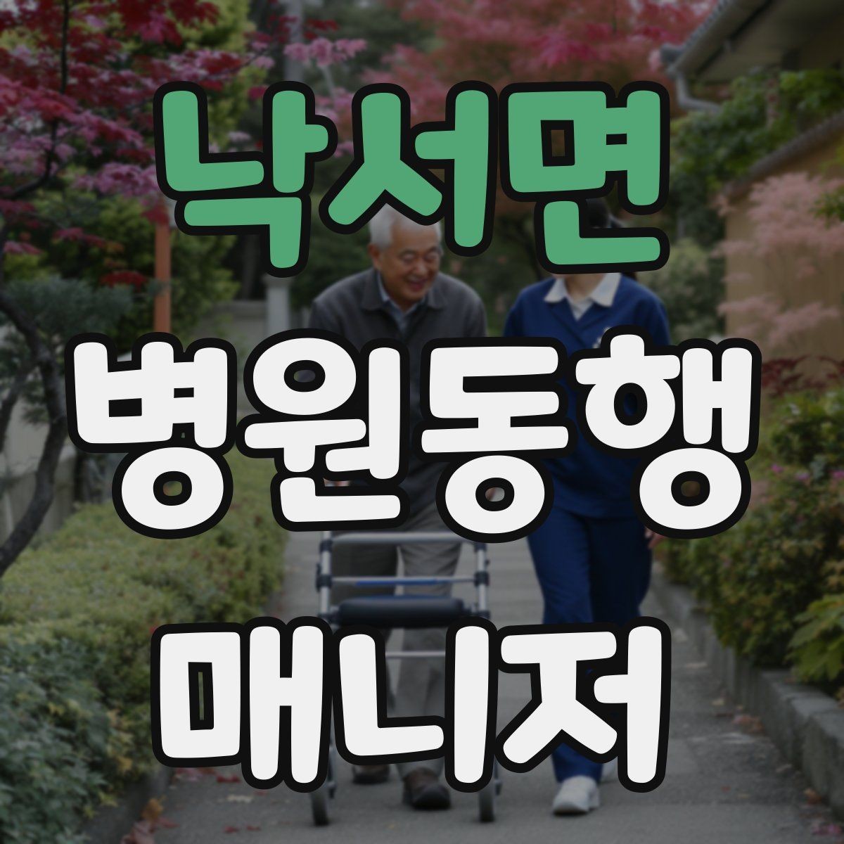 낙서면 병원동행매니저 자격증 취득하면 가능한 활동 범위는 어디까지일까