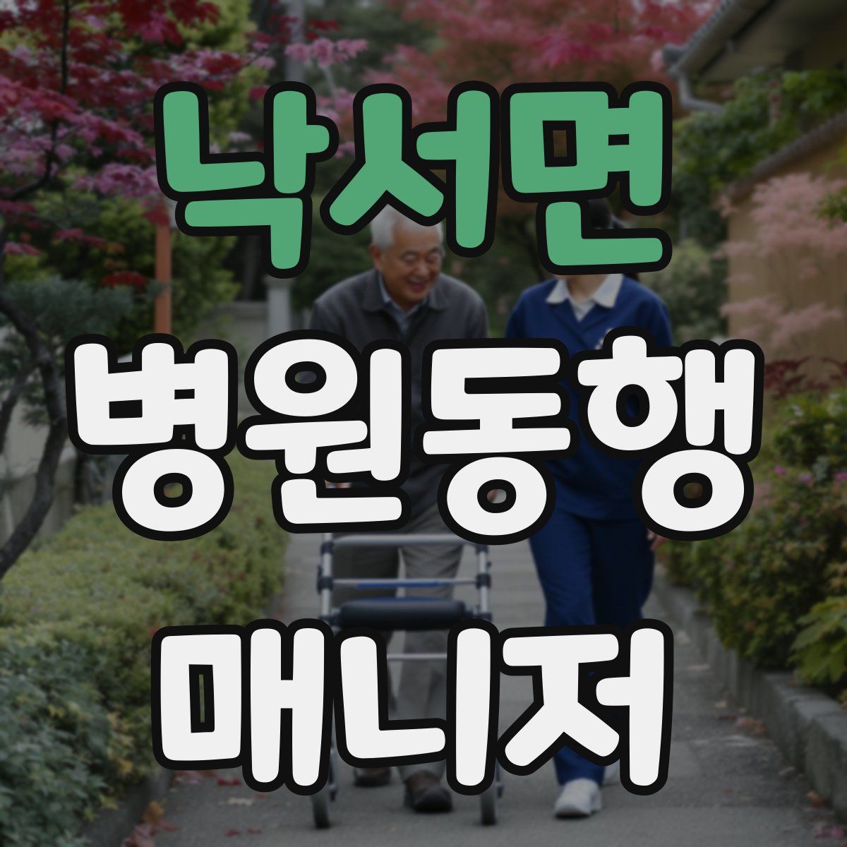 낙서면 병원동행매니저 자격증