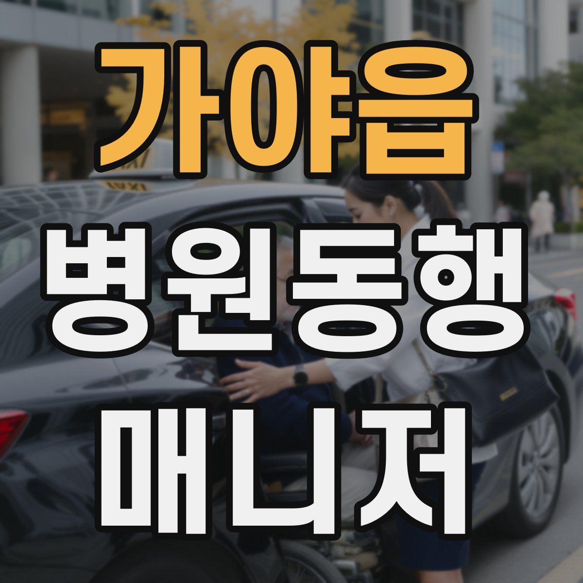 가야읍 병원동행매니저 자격증