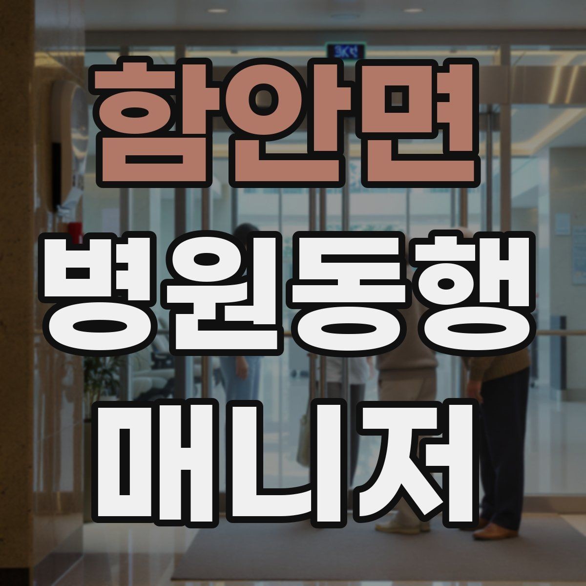 함안면 병원동행매니저 자격증 직장인 보호자가 자주 찾는 서비스