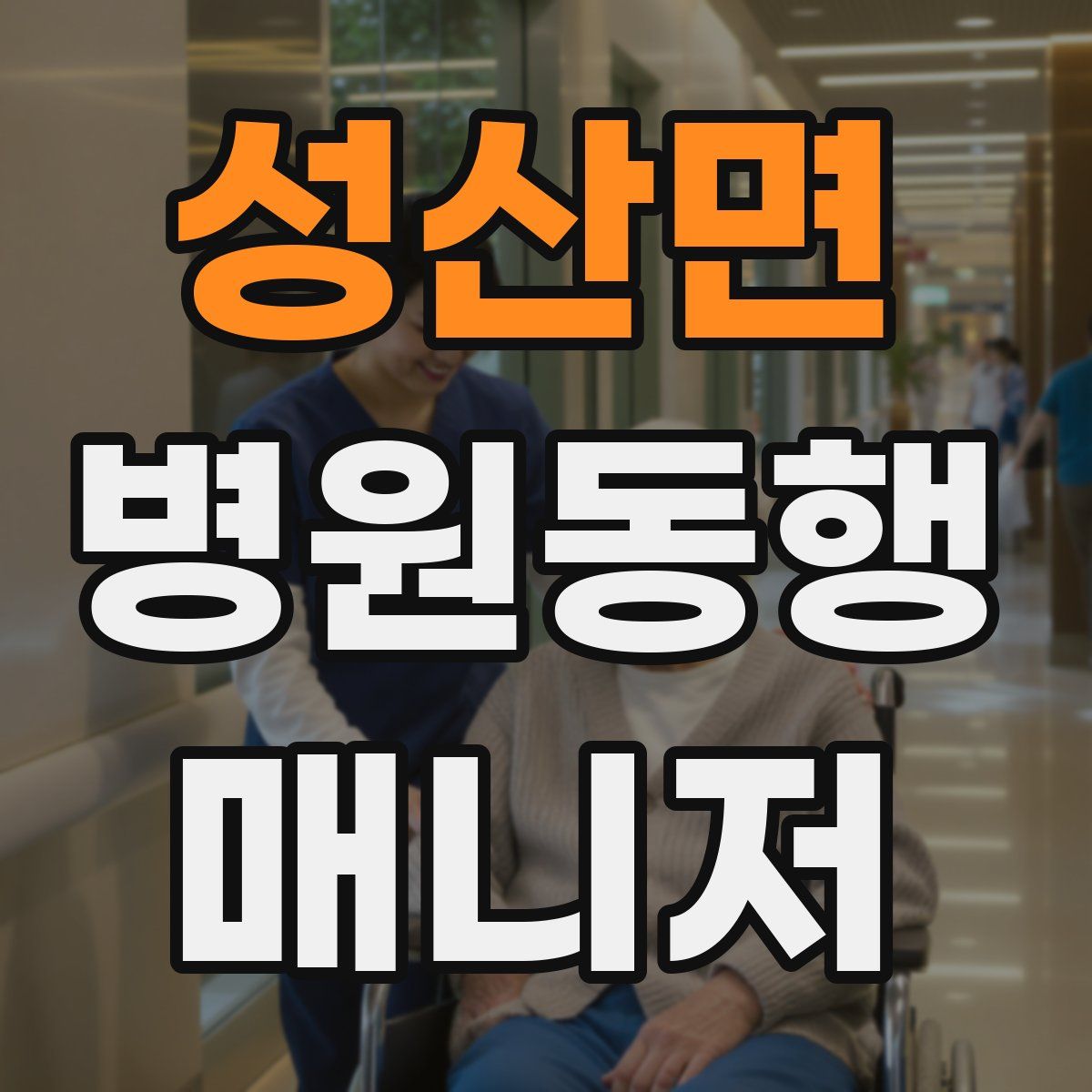 성산면 병원동행매니저 자격증