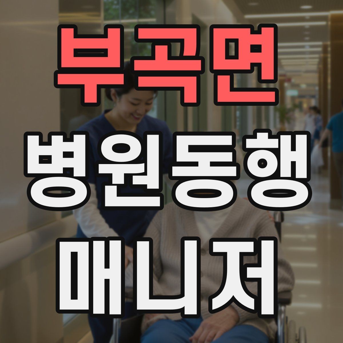 부곡면 병원동행매니저 자격증 고객 만족도를 올리는 작은 습관들