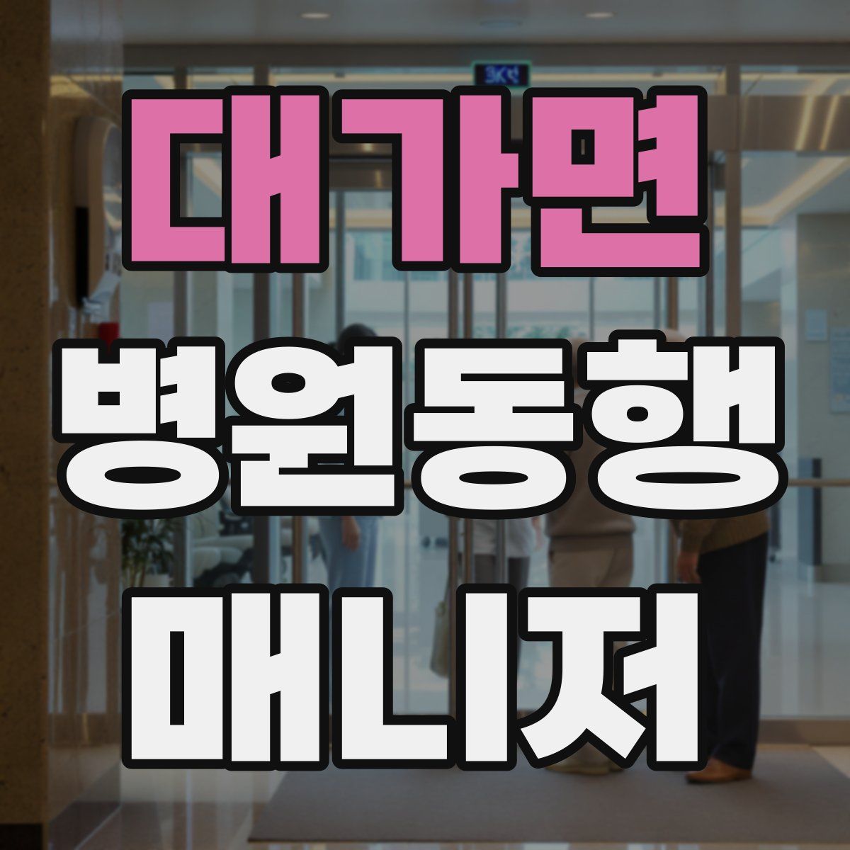 대가면 병원동행매니저 자격증