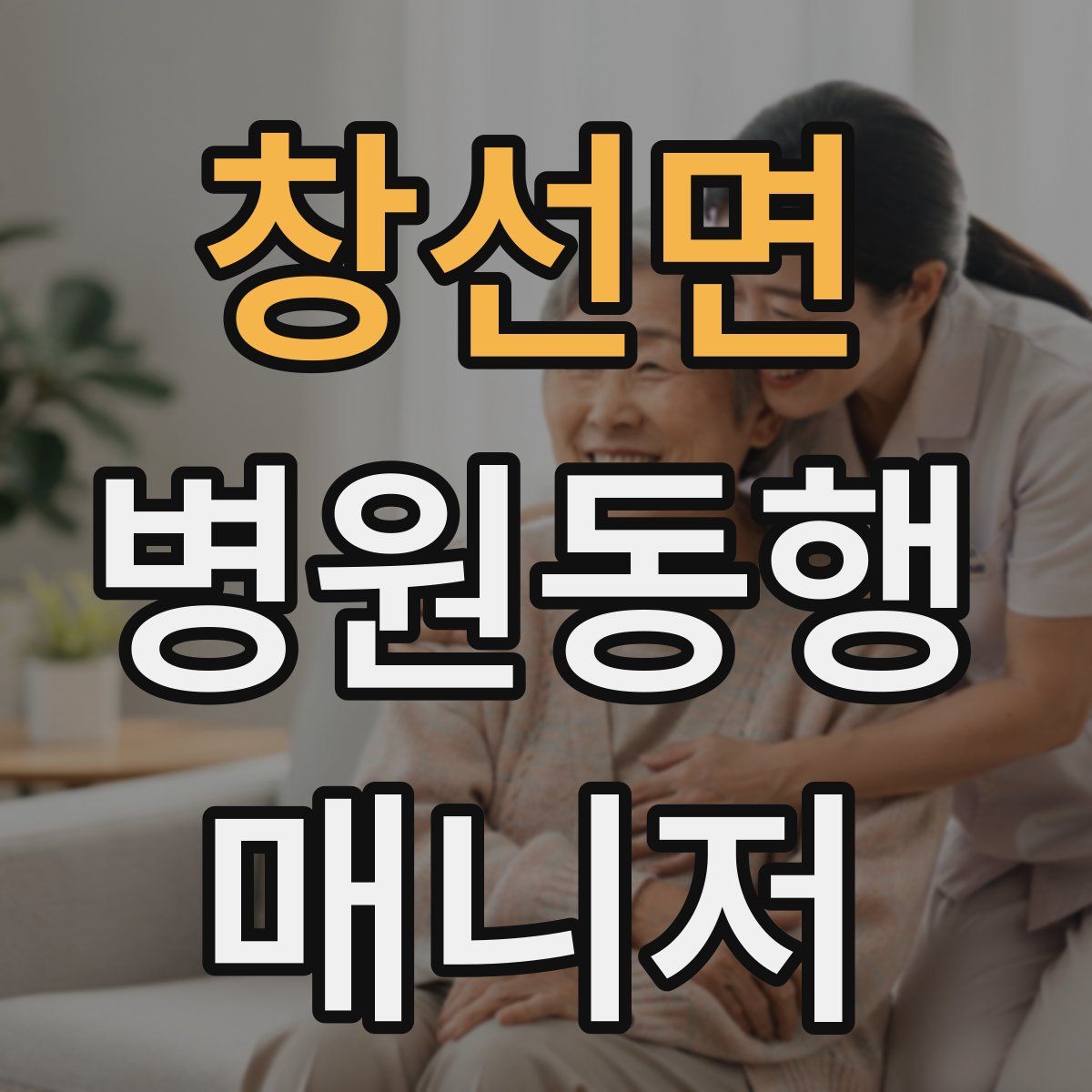 창선면 병원동행매니저 자격증