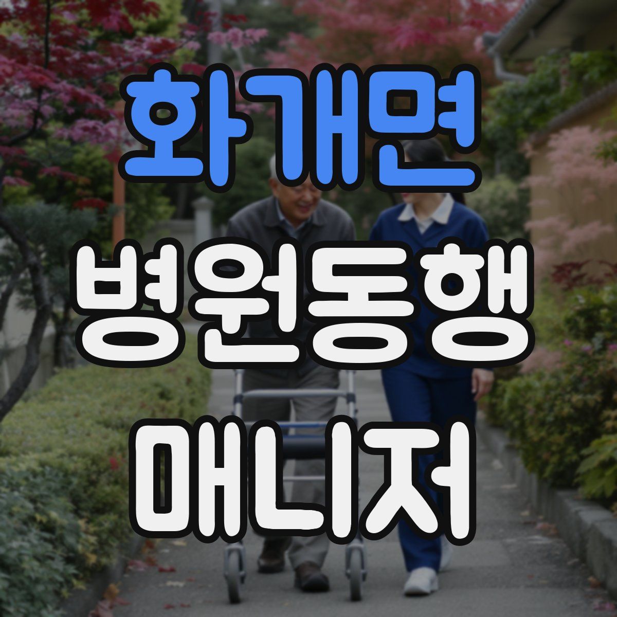 화개면 병원동행매니저 자격증