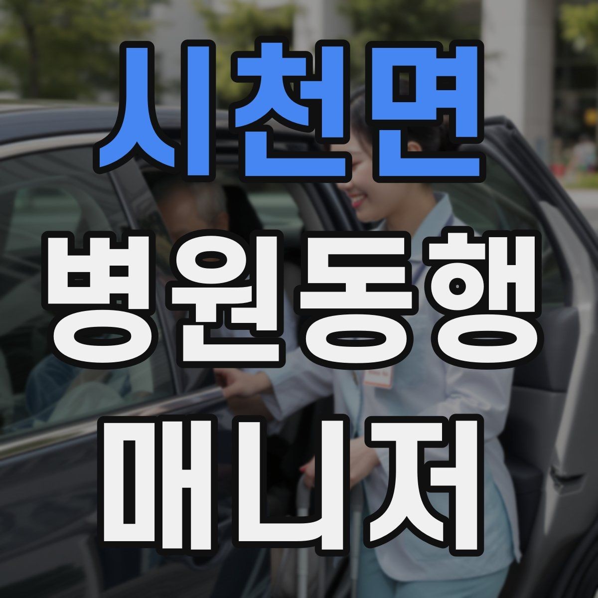 시천면 병원동행매니저 자격증 검사 동행과 진료 동행 차이