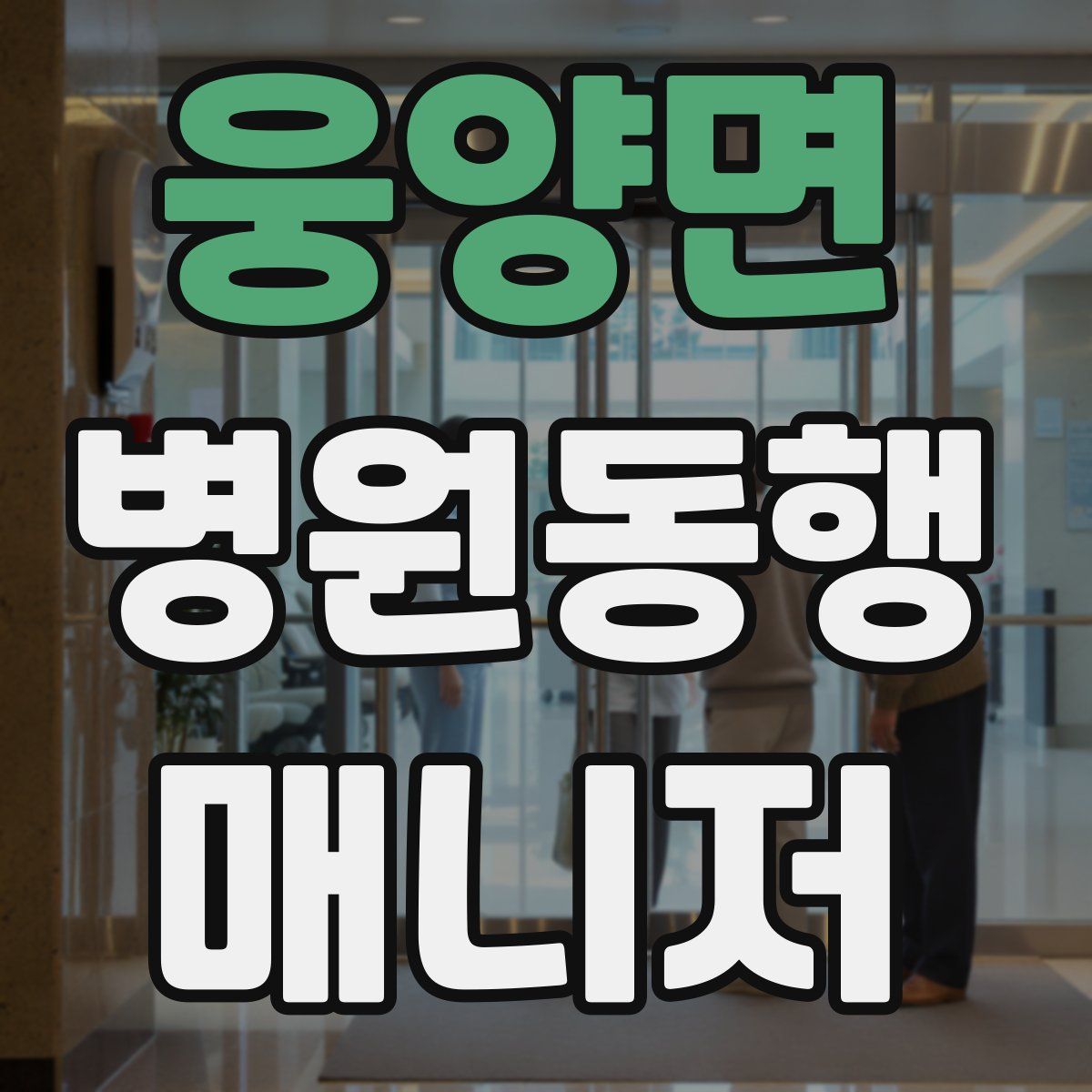 웅양면 병원동행매니저 자격증