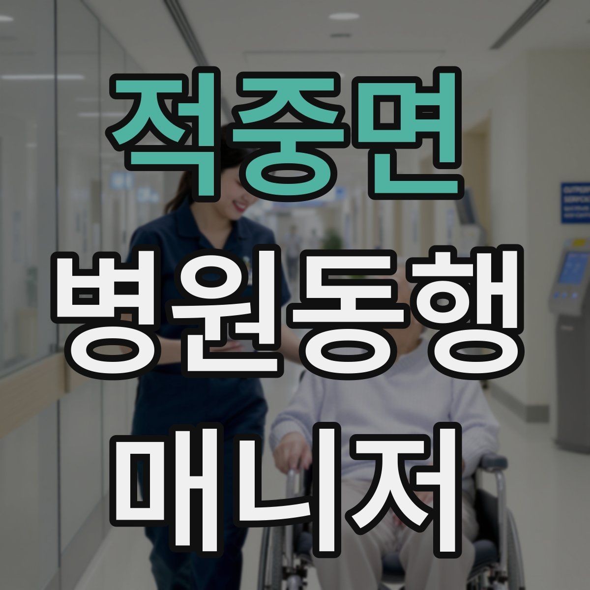 적중면 병원동행매니저 자격증 병원 동행 서비스가 필요한 순간들 정리