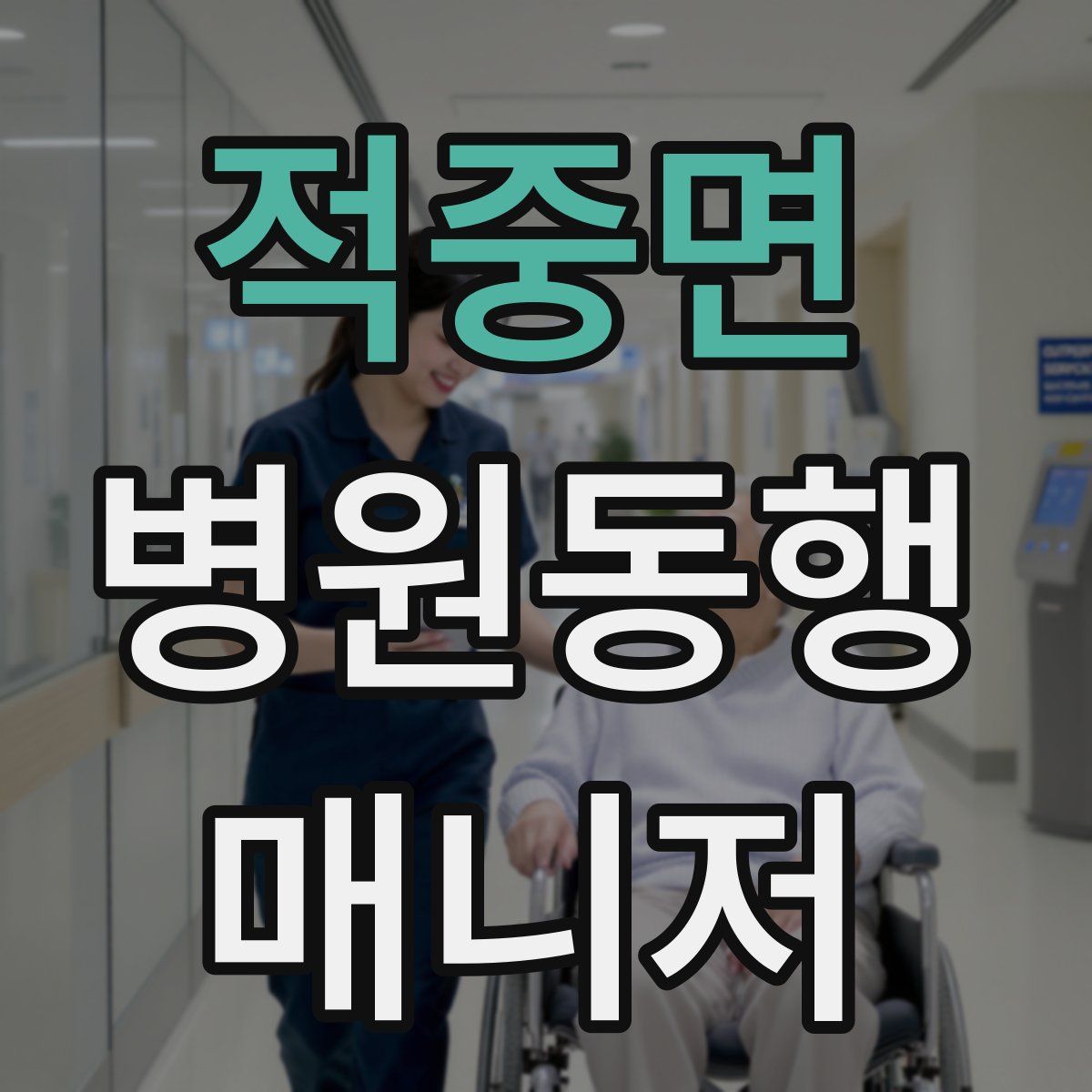 적중면 병원동행매니저 자격증