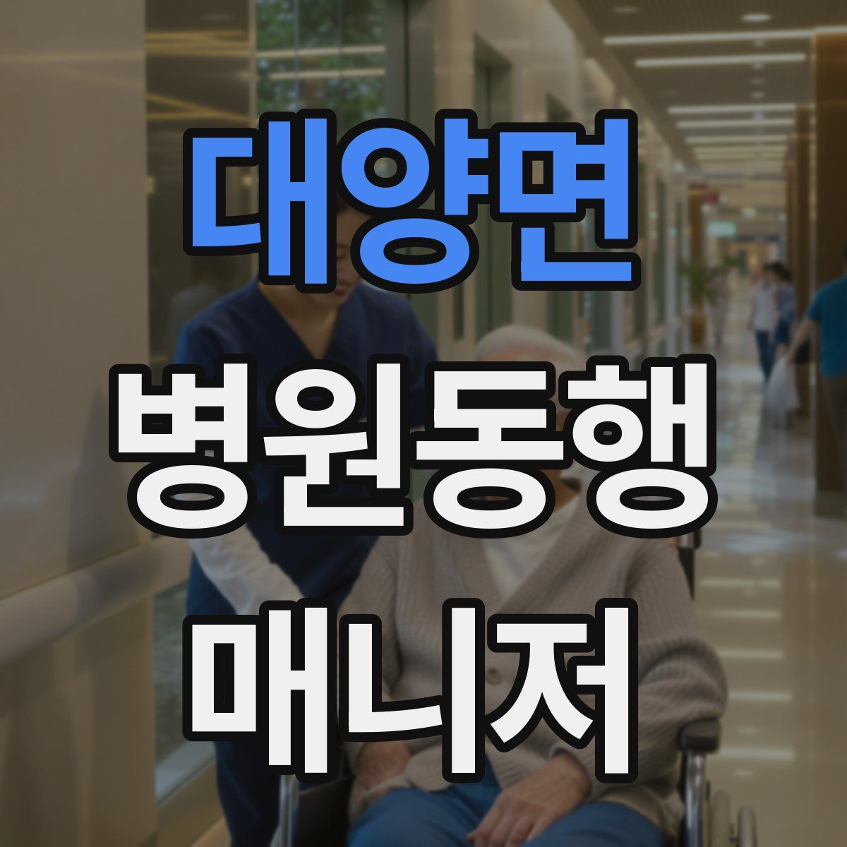 대양면 병원동행매니저 자격증
