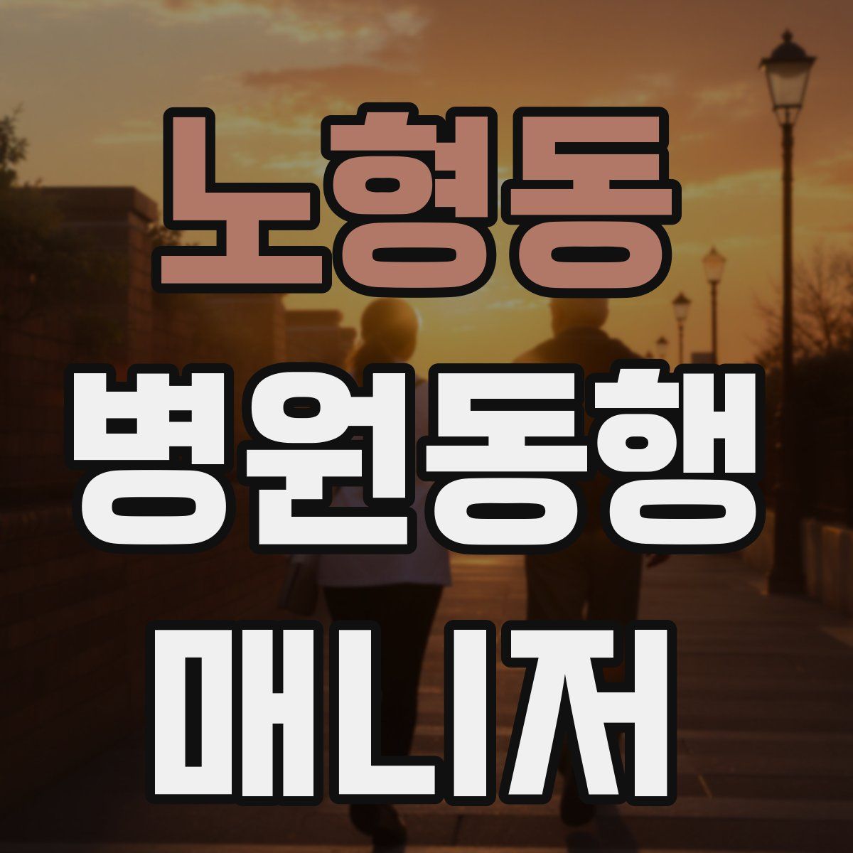 노형동 병원동행매니저 자격증