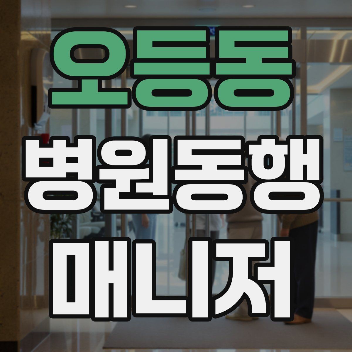 오등동 병원동행매니저 자격증 재활·물리치료 동행에서 중요한 포인트