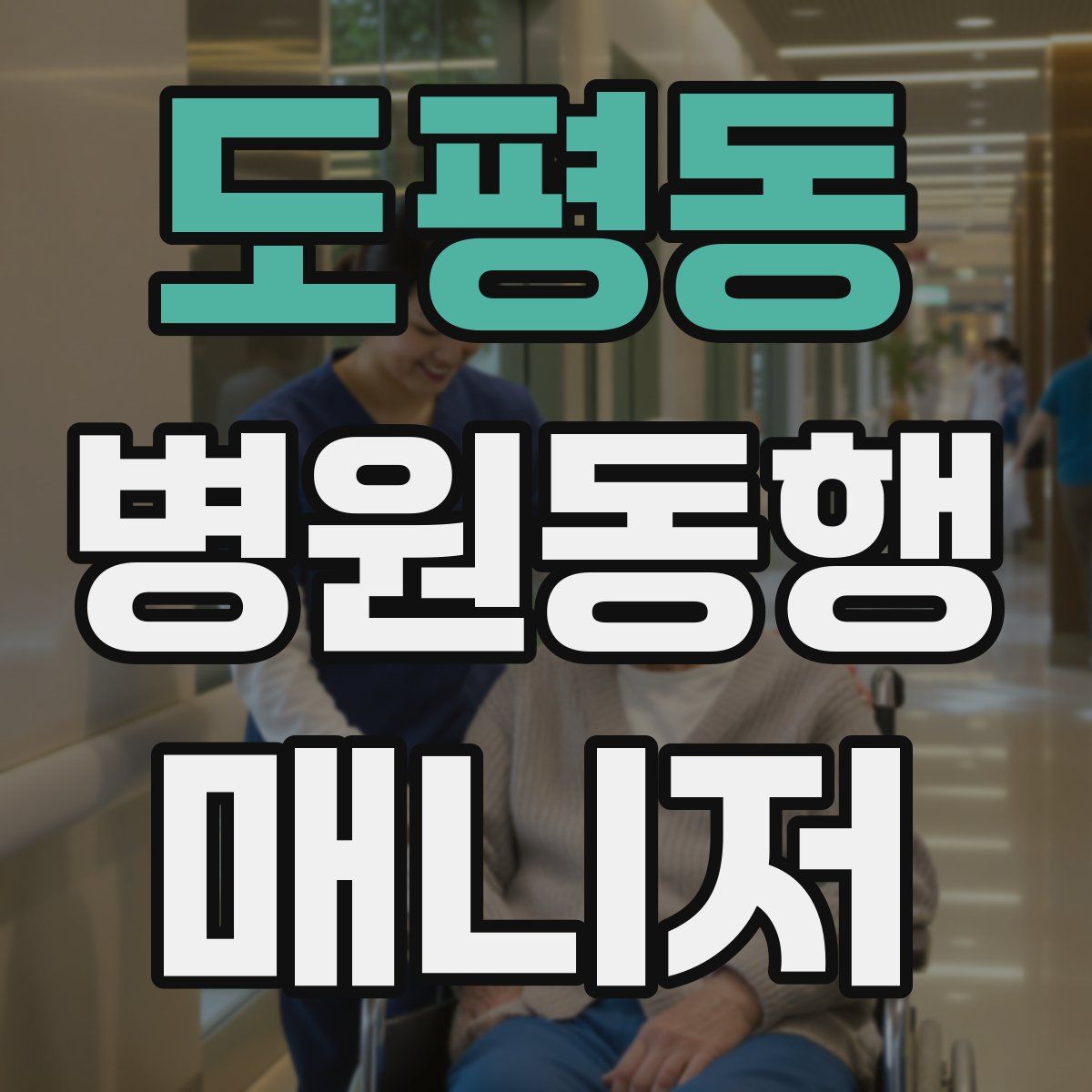 도평동 병원동행매니저 자격증