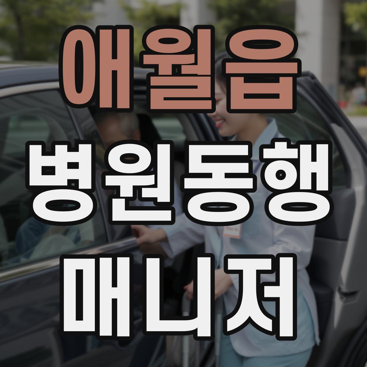 애월읍 병원동행매니저 자격증