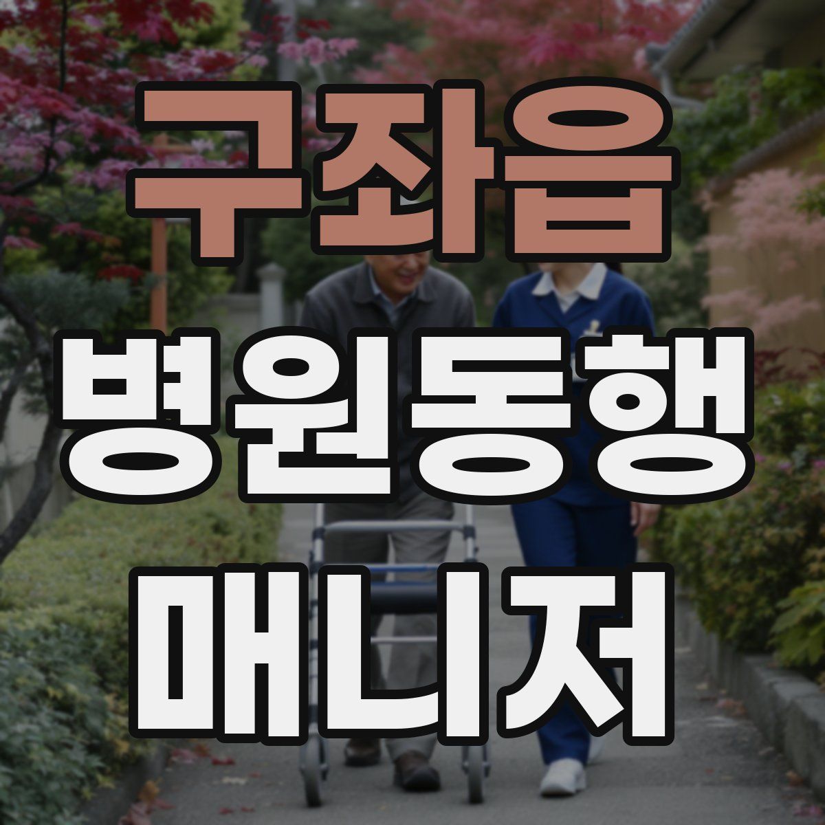 구좌읍 병원동행매니저 자격증