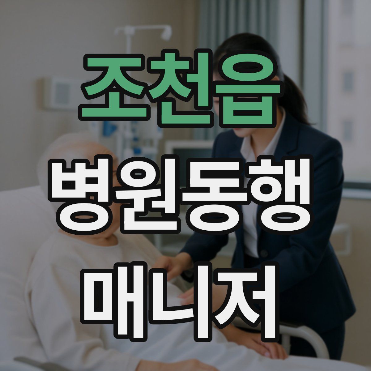 조천읍 병원동행매니저 자격증