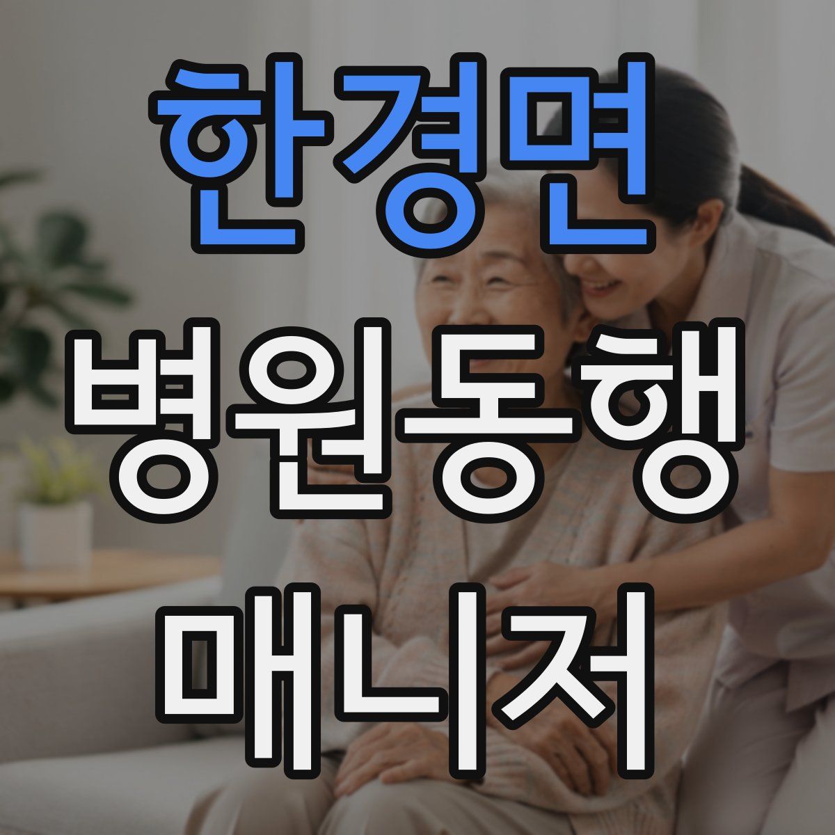 한경면 병원동행매니저 자격증