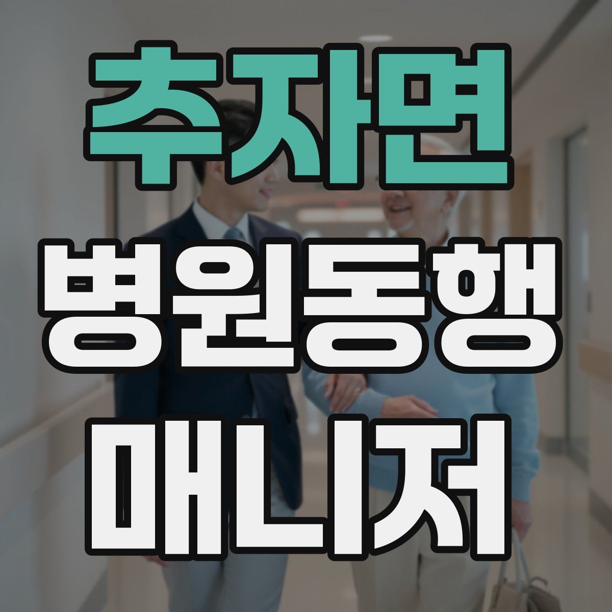 추자면 병원동행매니저 자격증