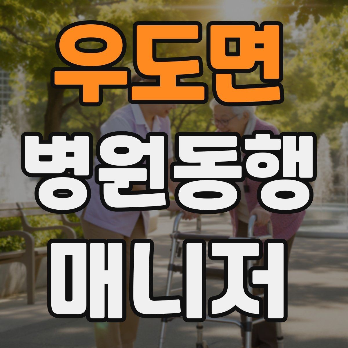 우도면 병원동행매니저 자격증 서비스 범위와 한계를 정리해보기