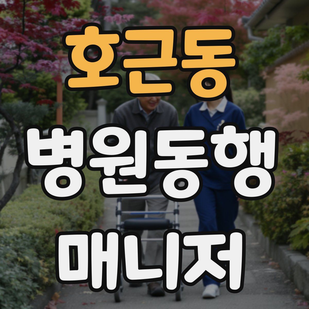 호근동 병원동행매니저 자격증