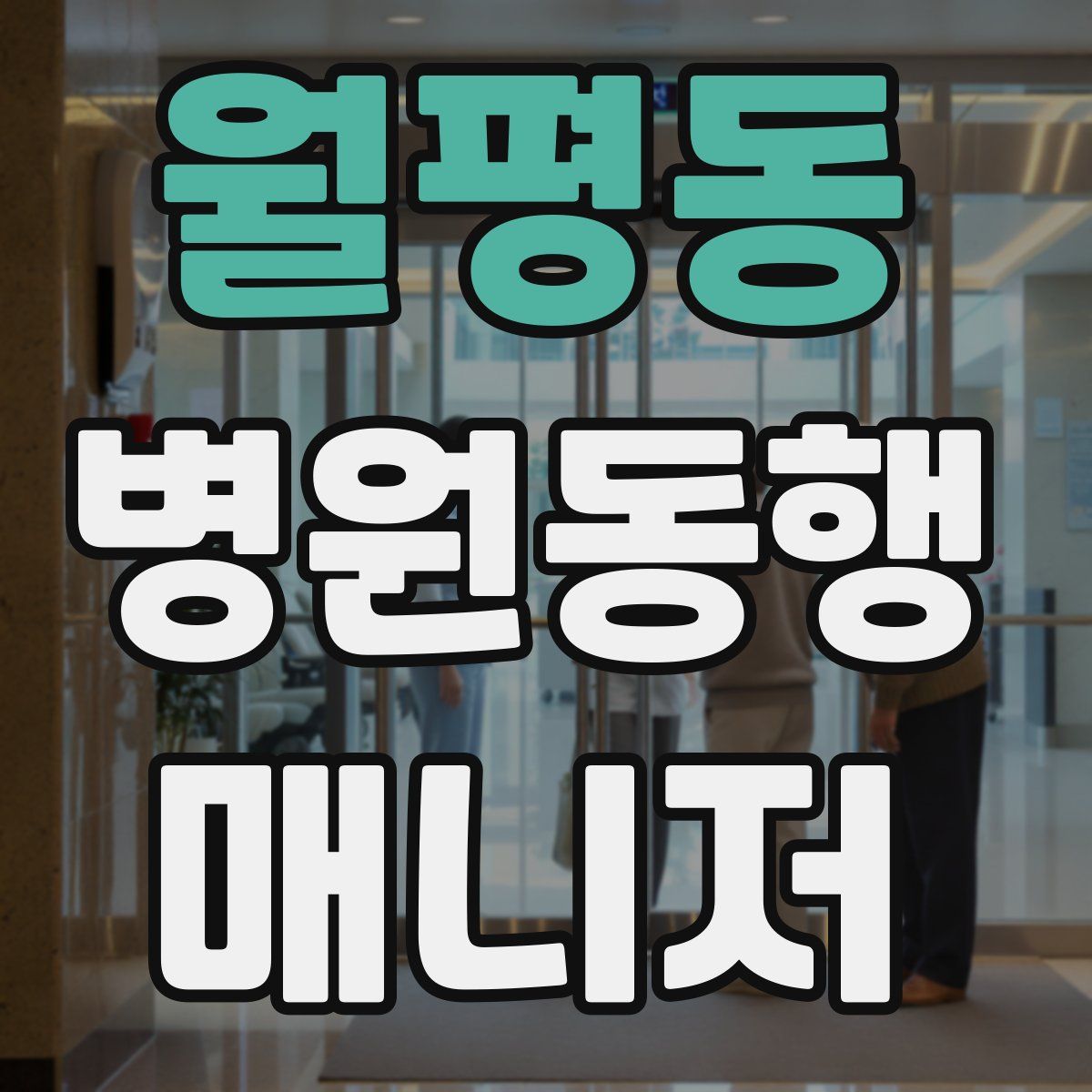 월평동 병원동행매니저 자격증