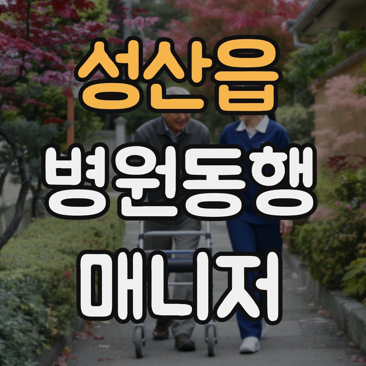 성산읍 병원동행매니저 자격증