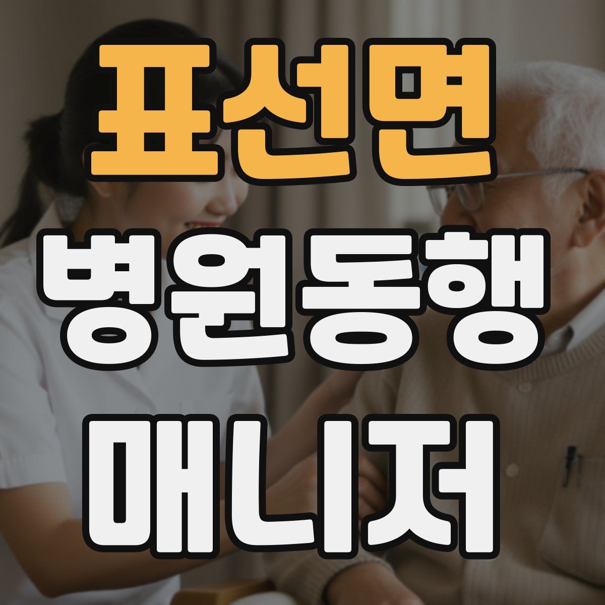 표선면 병원동행매니저 자격증