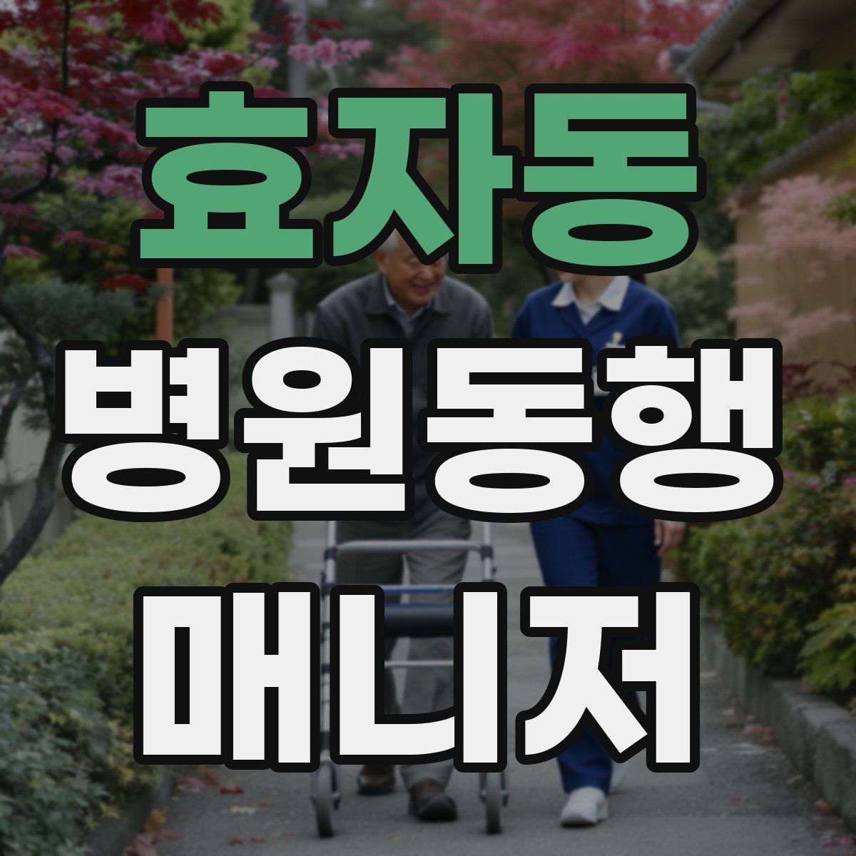 효자동 병원동행매니저 자격증