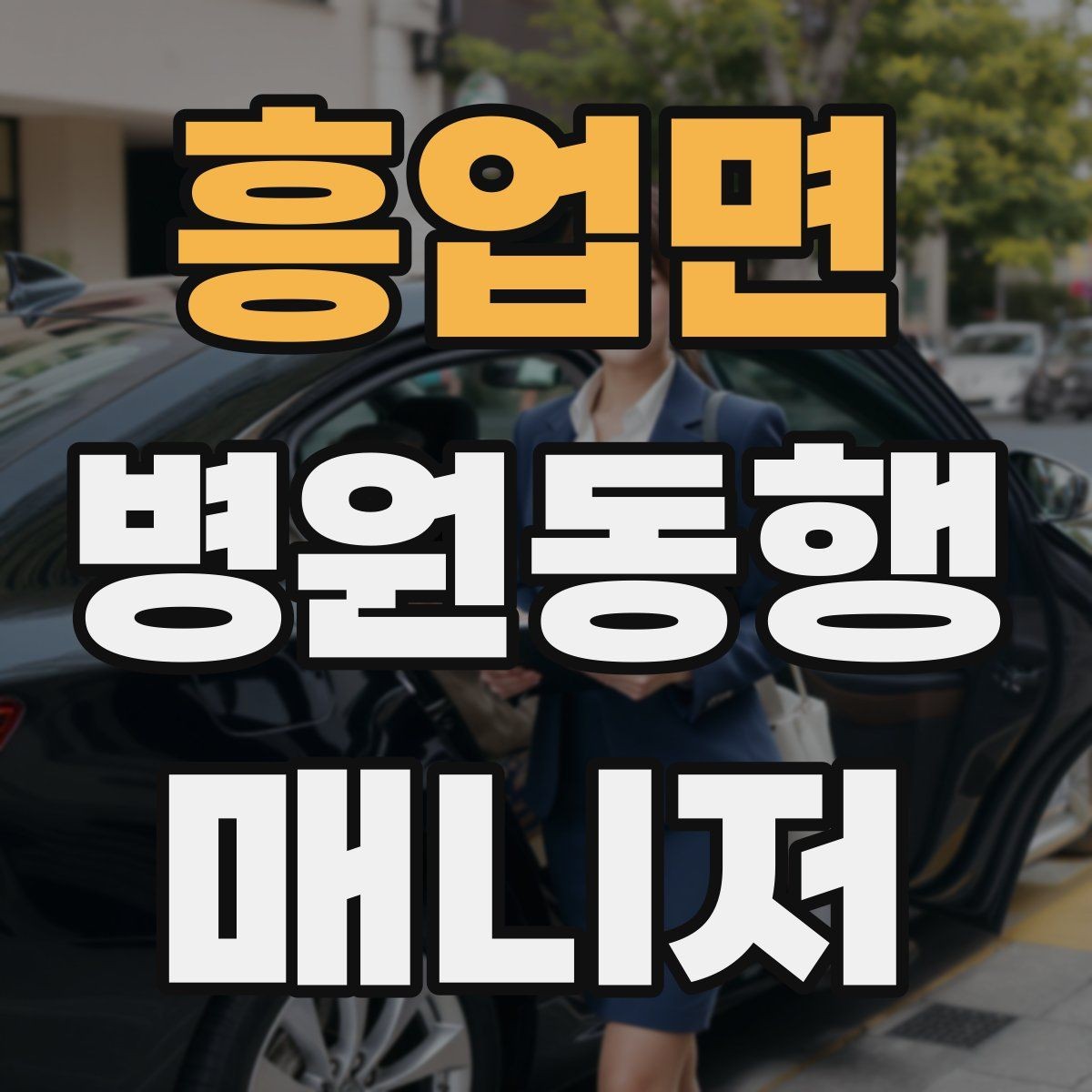 흥업면 병원동행매니저 자격증 서비스 범위 문구를 깔끔히 쓰는 방법