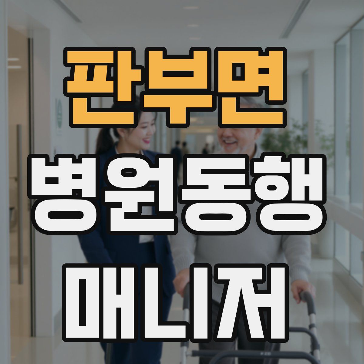 판부면 병원동행매니저 자격증