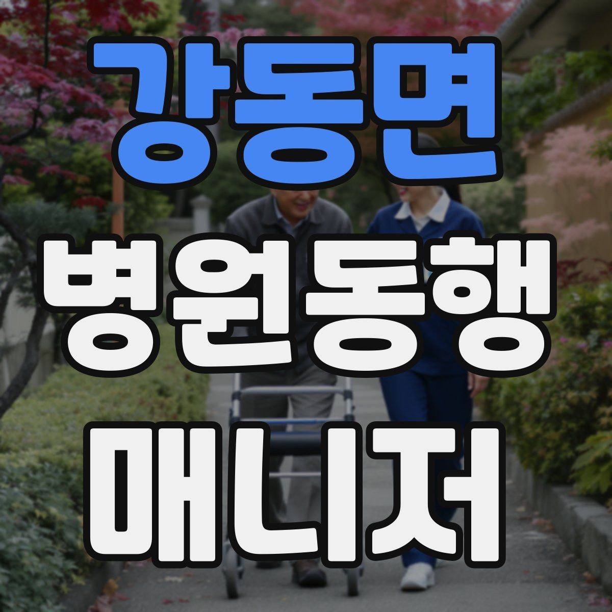 강동면 병원동행매니저 자격증 안전·소통·기록 3가지만 기억하기